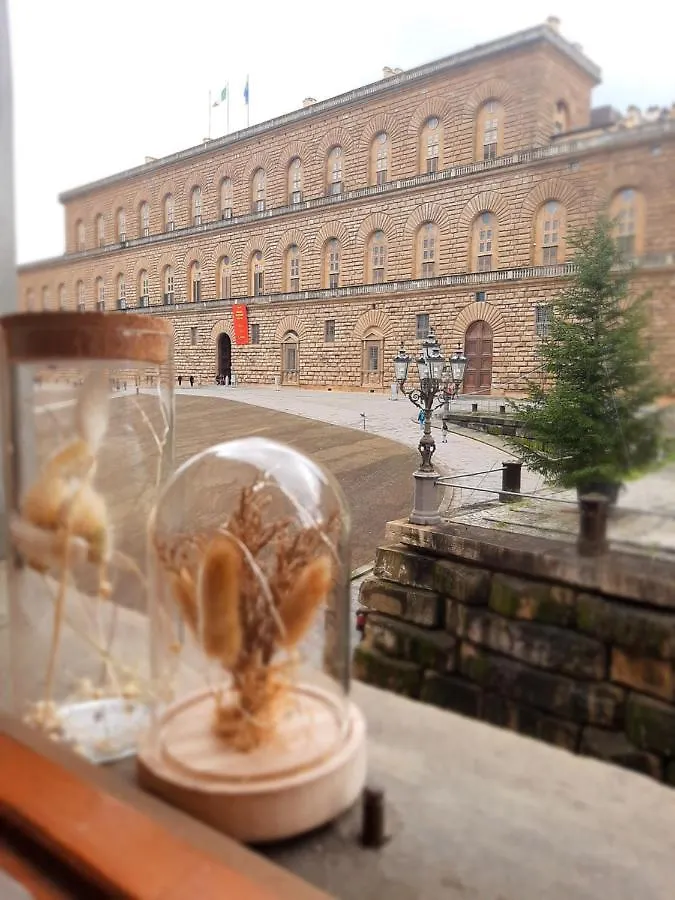 Piazza Pitti View Apartment Florence